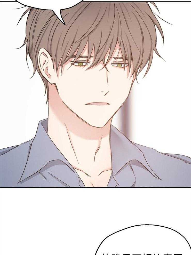 爱情的成功几率第85话图