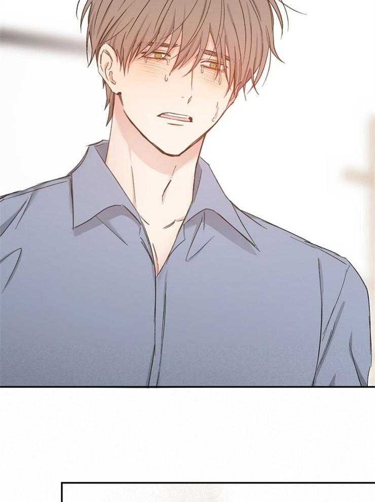 爱情的成功几率第86话图