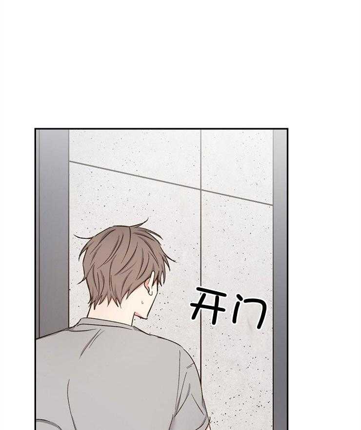 爱情的成功几率第91话图