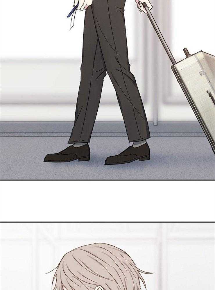 爱情的成功几率第92话图