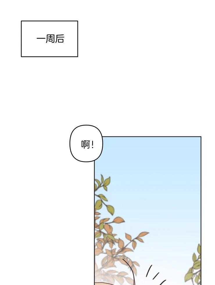 爱豆要找我整容第21话图