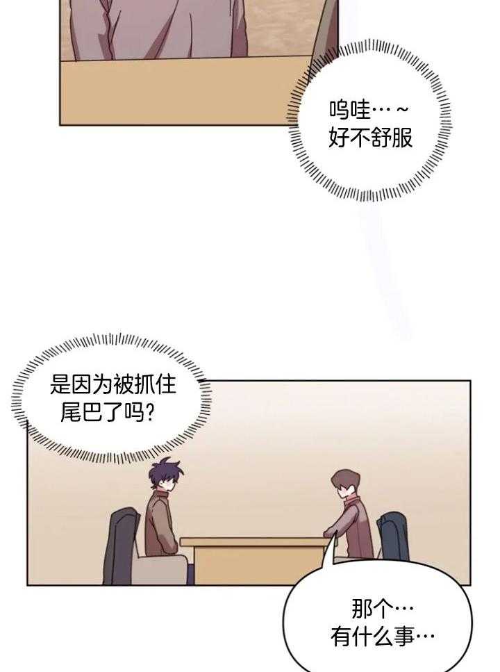 爱豆要找我整容 第41话 第3页