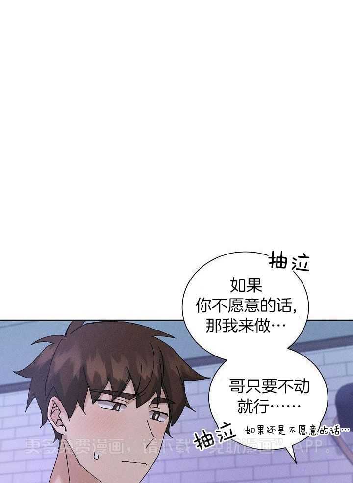 安慰剂热恋第12话图