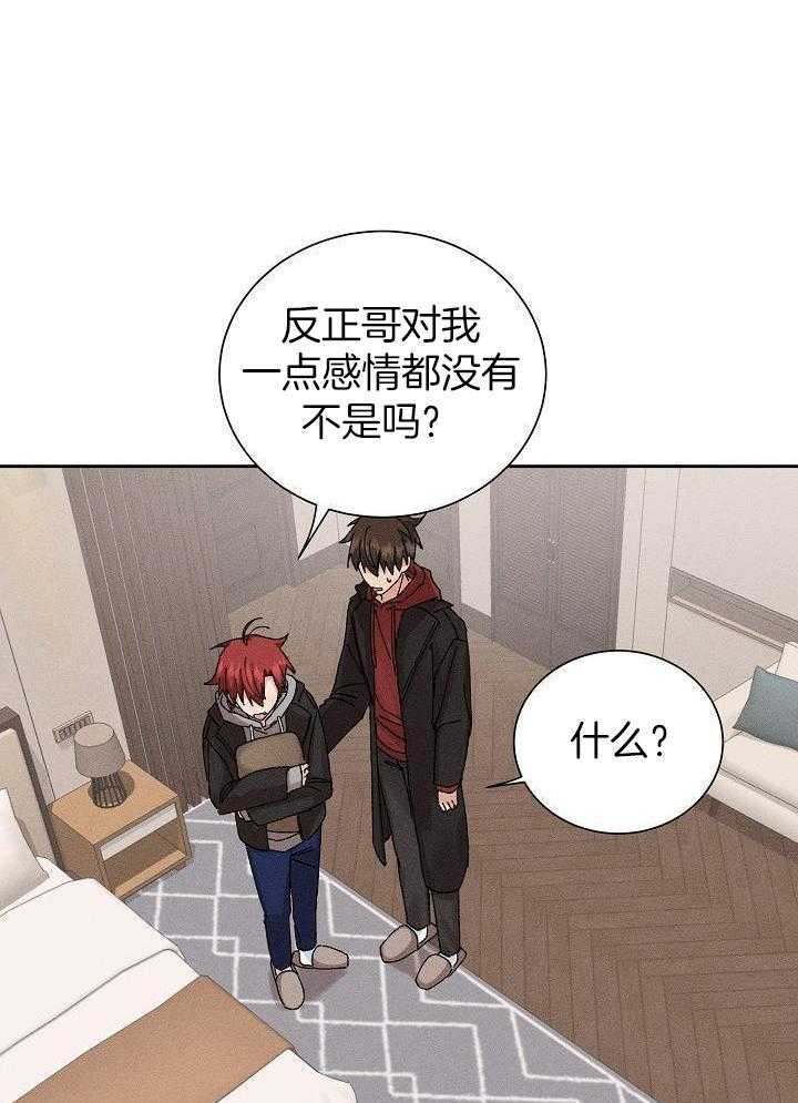 安慰剂热恋第24话图