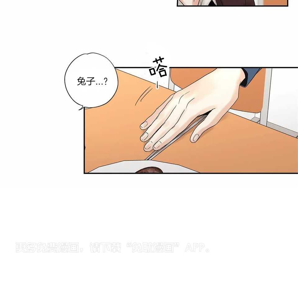 爱情是幻想-女王篇第10话图