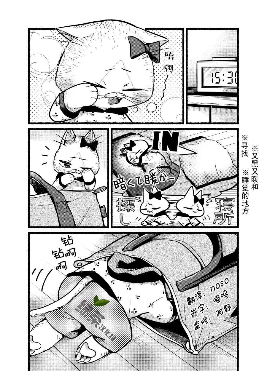 俺妹是猫番外10图