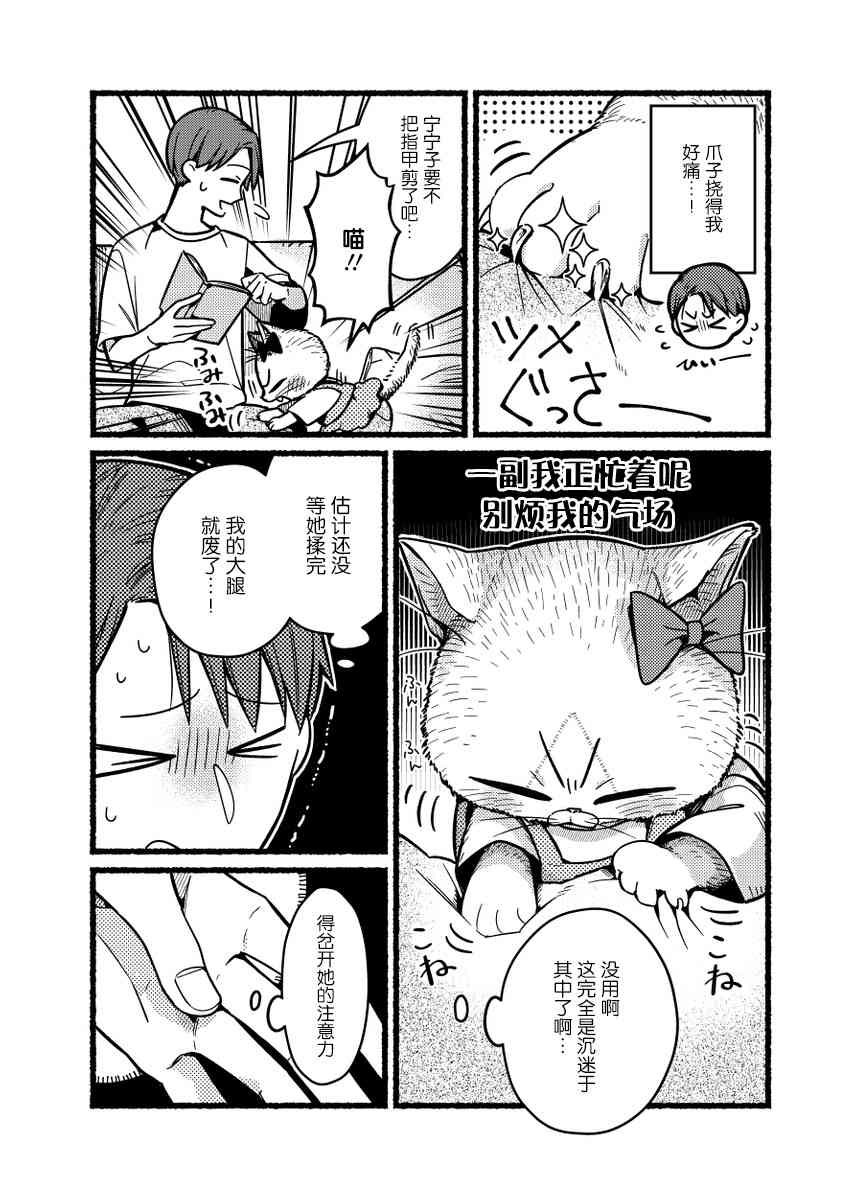 俺妹是猫番外16图