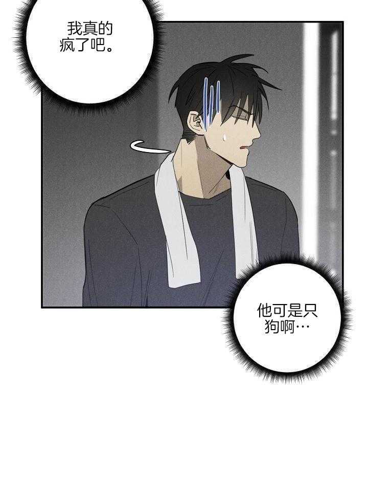 傲娇傻狗赖上我第9话图