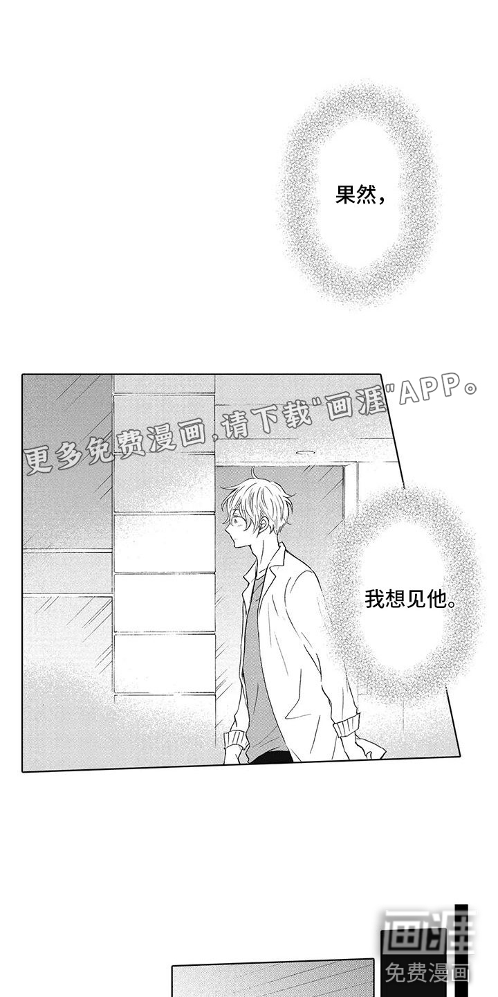 爱如夏花第13话图