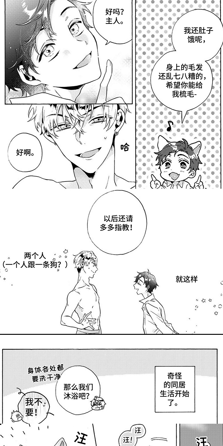 爱上我的宠物第3话图