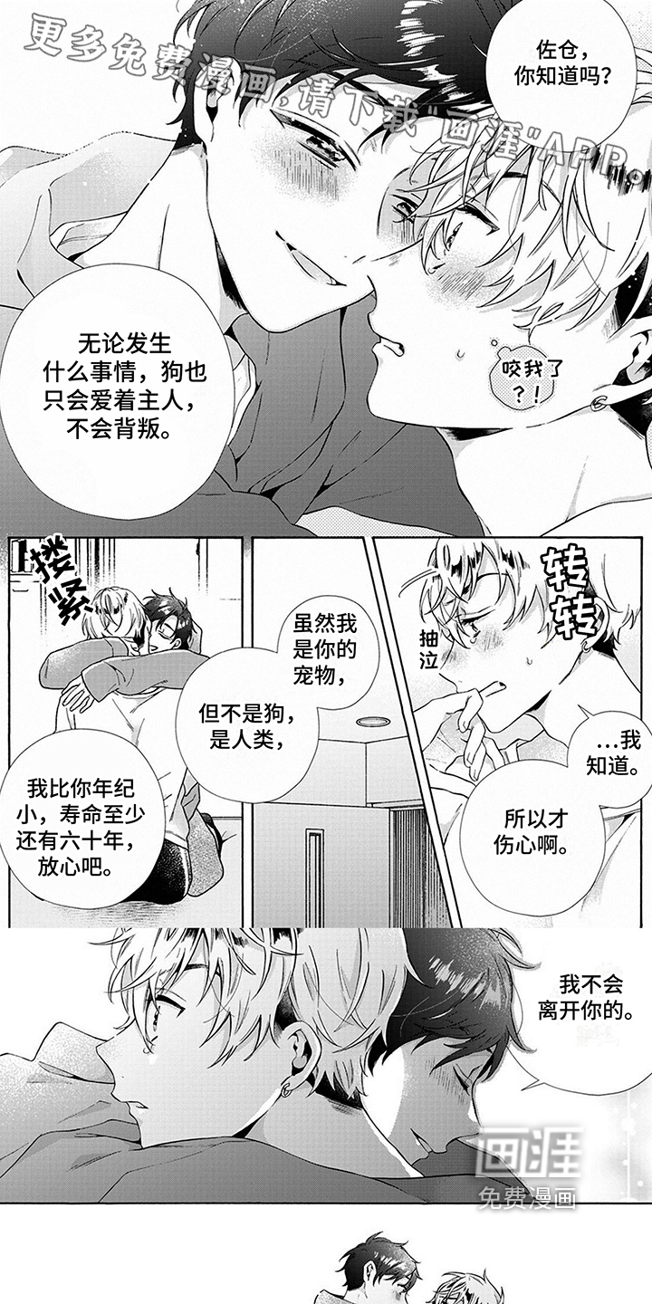 爱上我的宠物第9话图