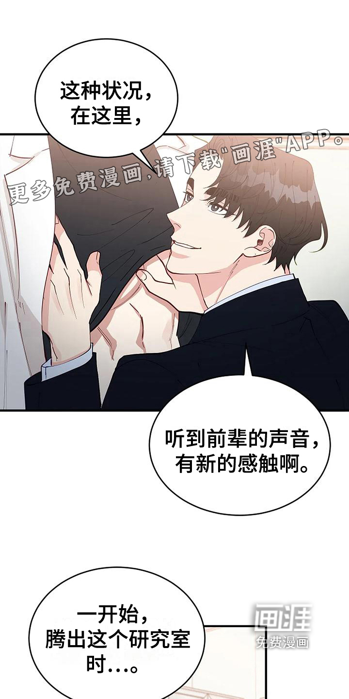 安全区第15话图