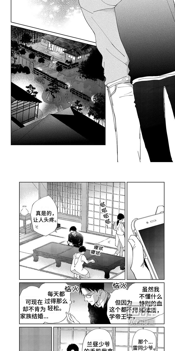 爱在月亮下第5话图