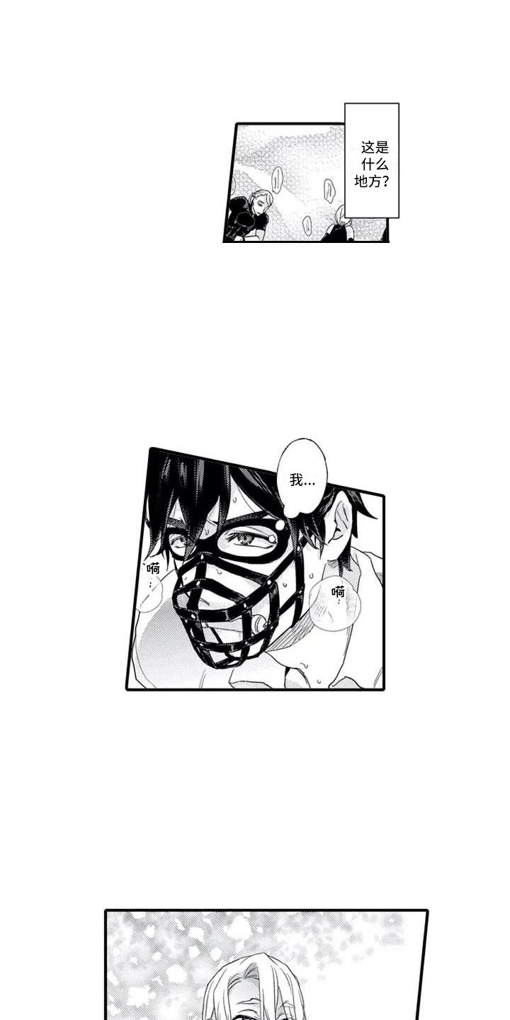 阿尔法之犬第1话图