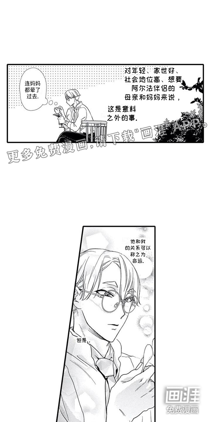 阿尔法之犬第11话图