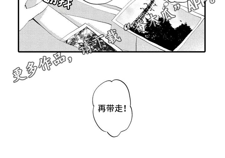 爱的照片第11话图
