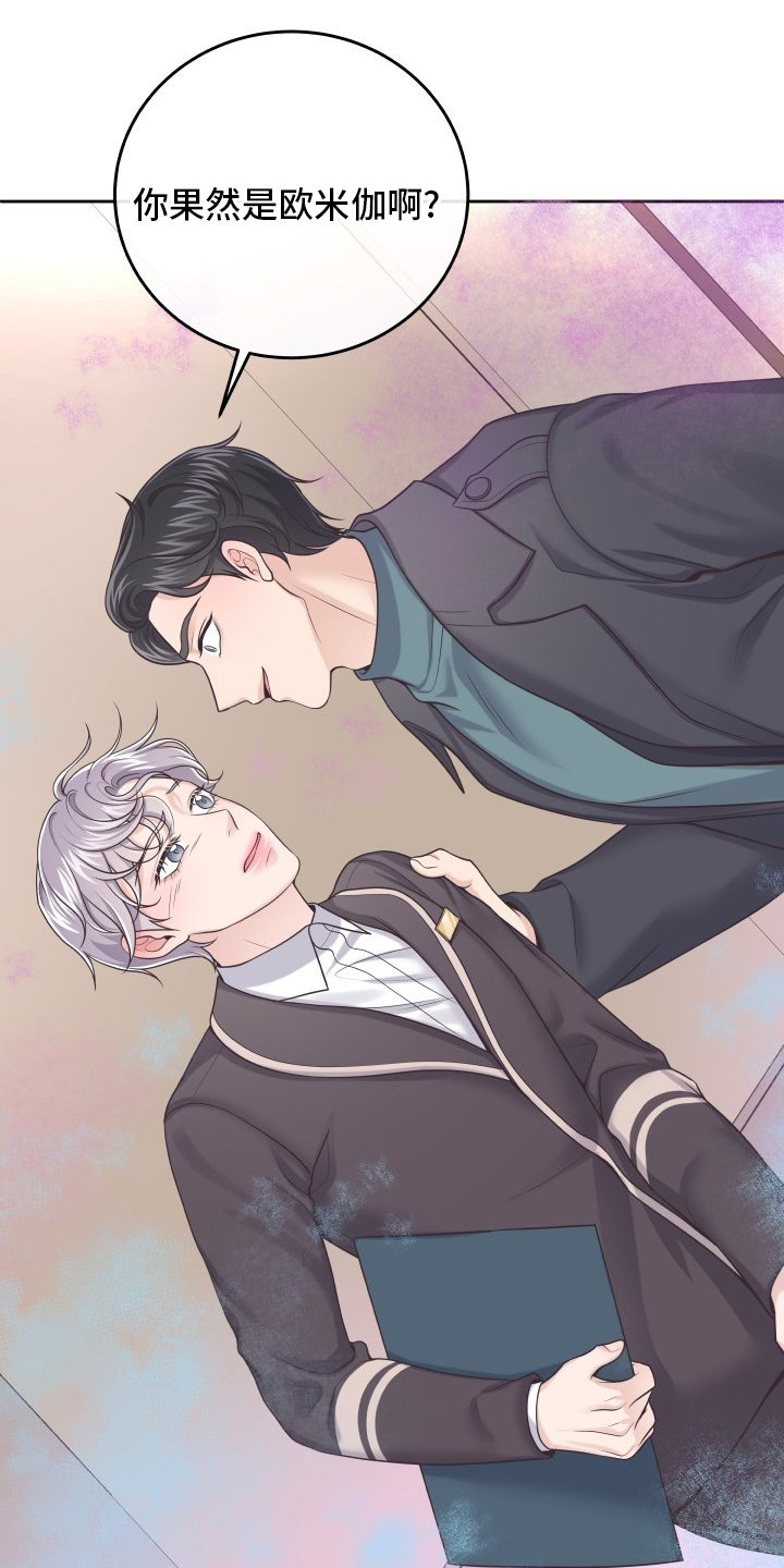 阿尔法管家第41话图