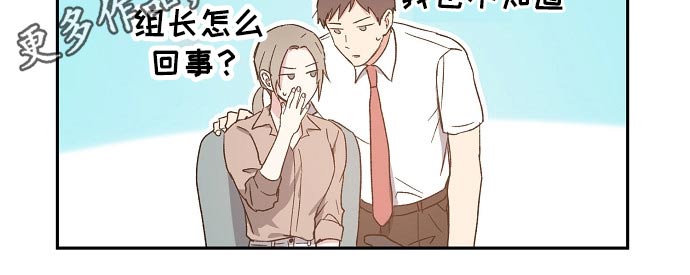 爱情赌注第46话图
