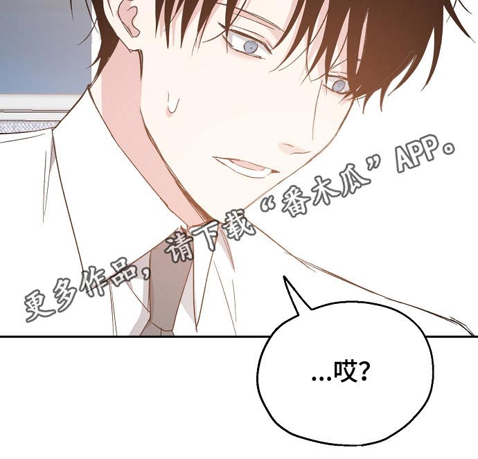 爱情赌注第49话图