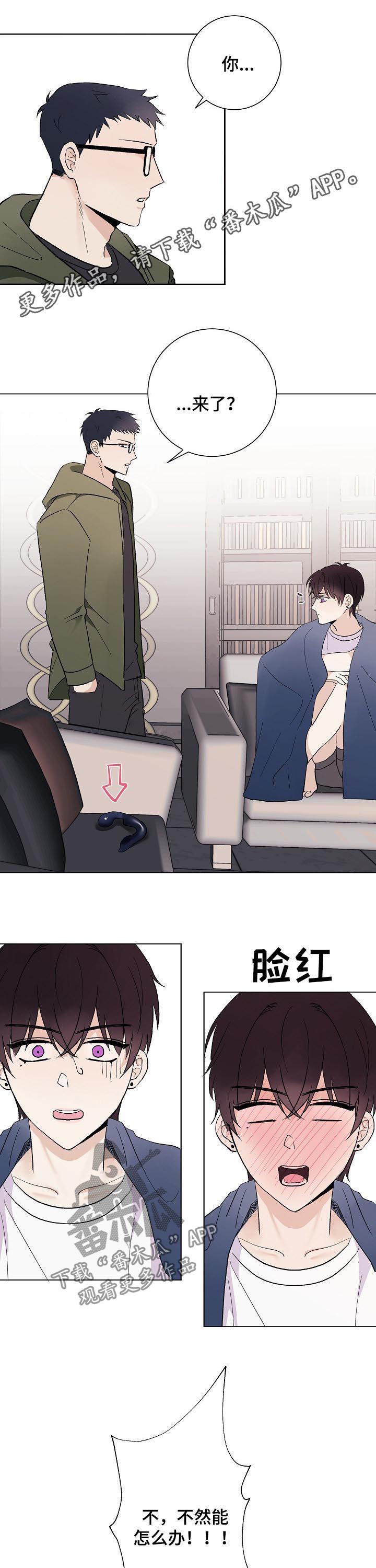 爱排练第39话图