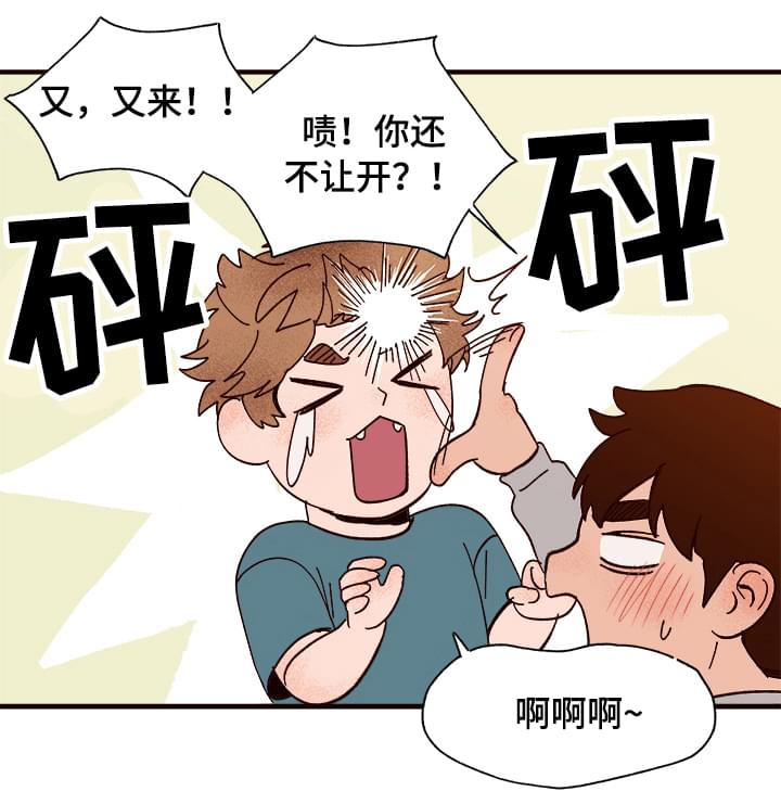 爱宠攻略第12话图