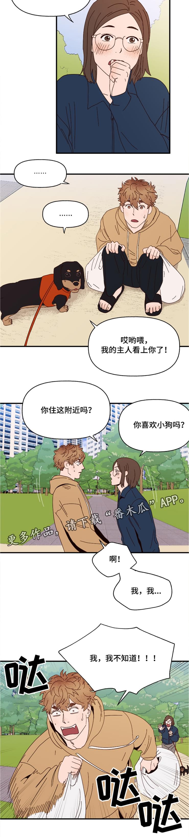 爱宠攻略第17话图