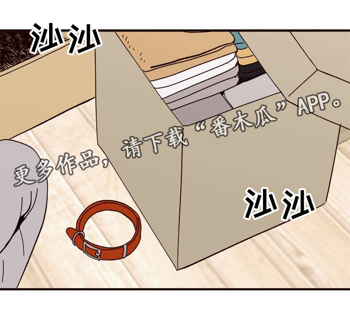 爱宠攻略第25话图