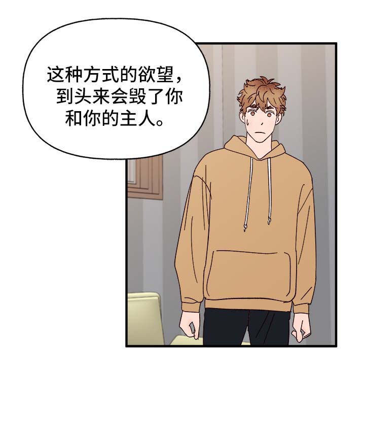 爱宠攻略第33话图