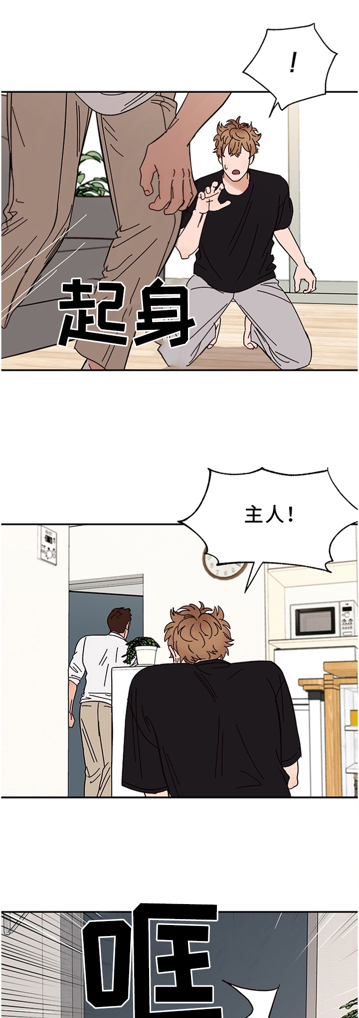 爱宠攻略第47话图