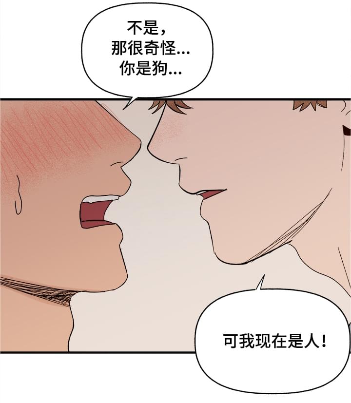 爱宠攻略第8话图