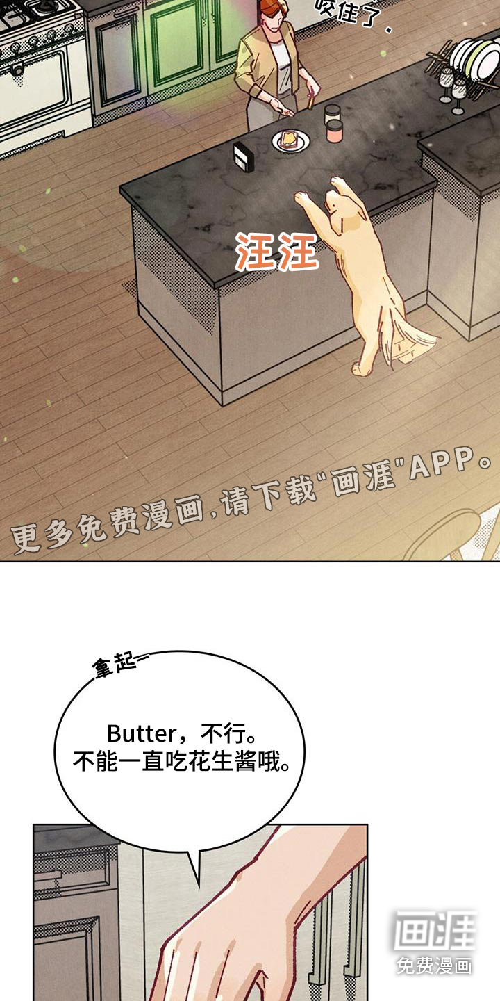 爱的被拯救第28话图