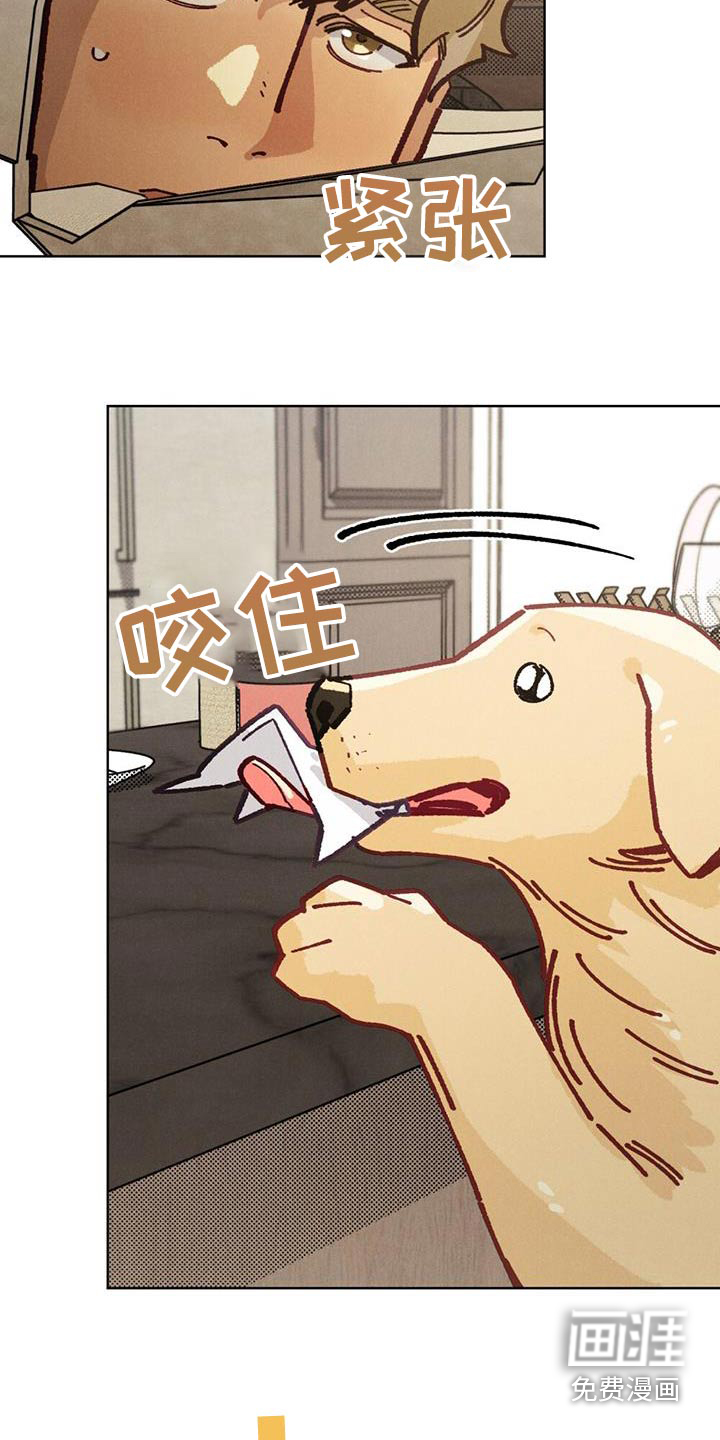 爱的被拯救第28话图