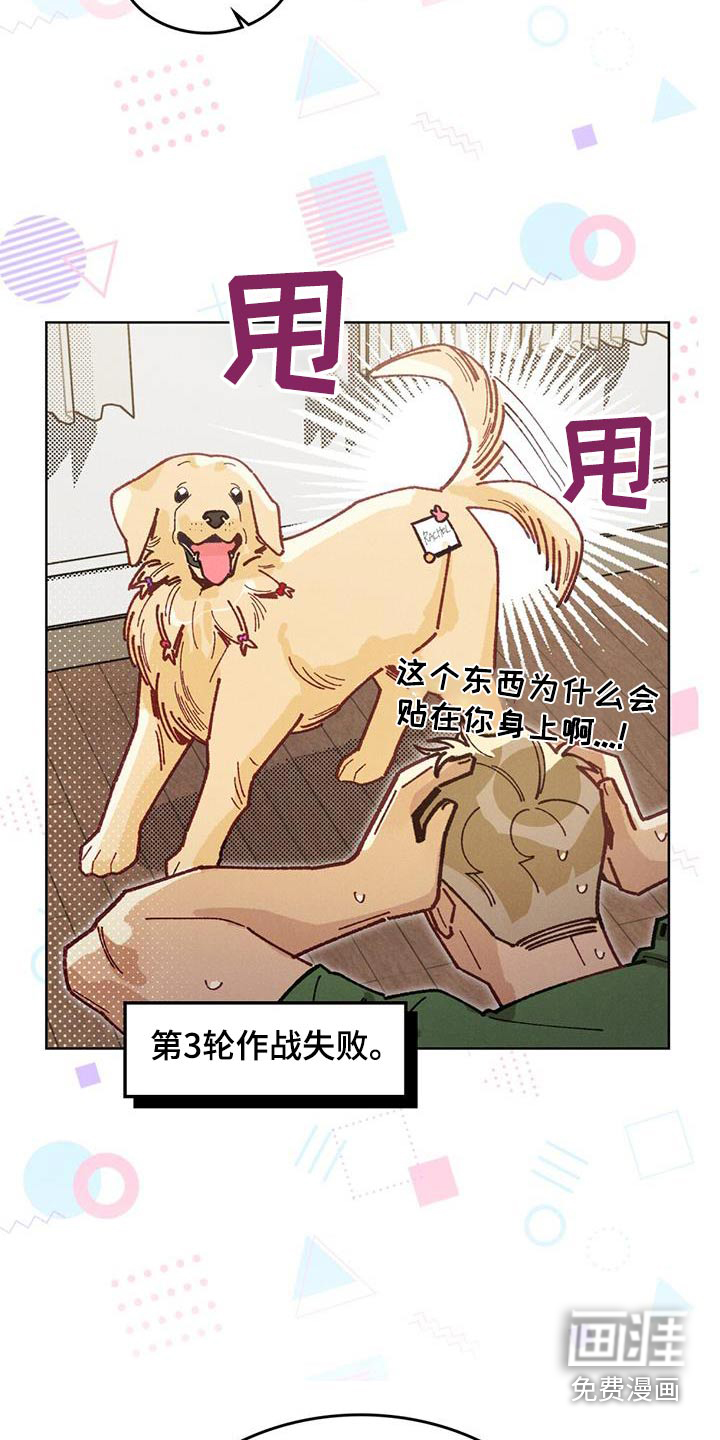 爱的被拯救第28话图