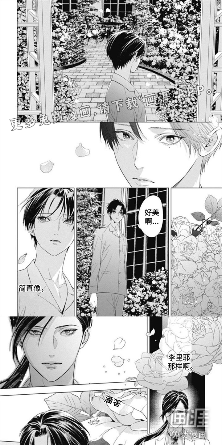 阿尔法的花嫁第25话图