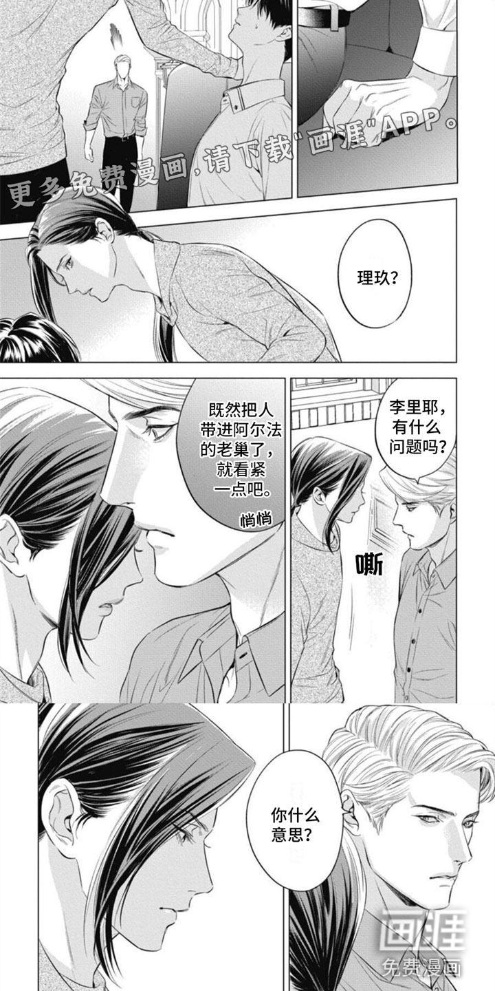 阿尔法的花嫁第28话图