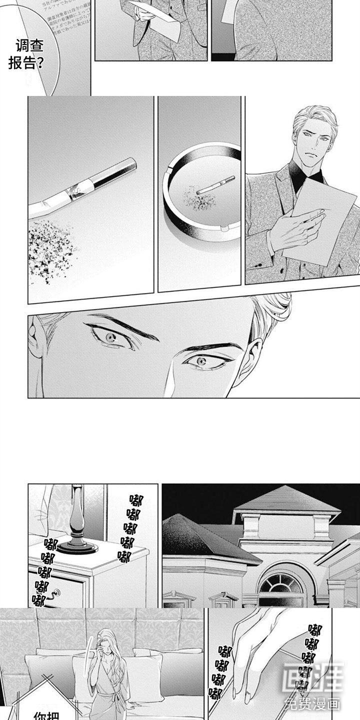 阿尔法的花嫁第37话图