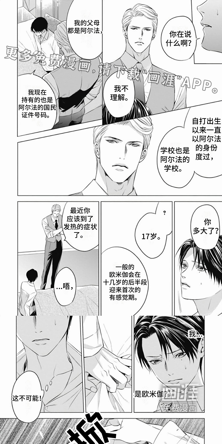 阿尔法的花嫁第6话图