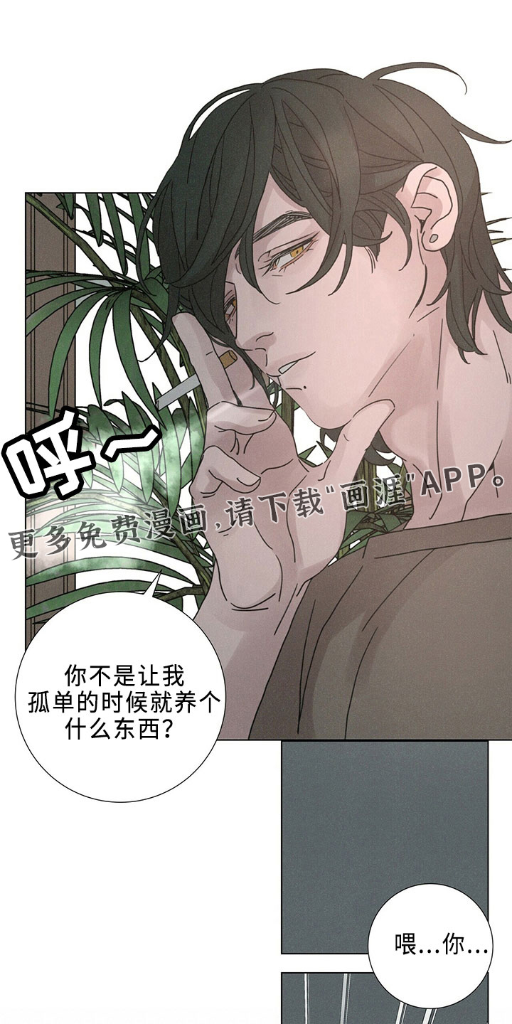 爱情深渊 第24话 第15页