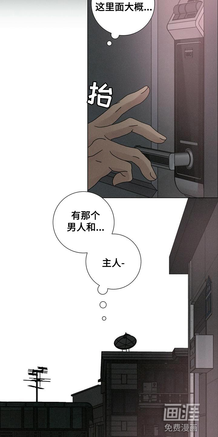 爱情深渊 第37话 第17页
