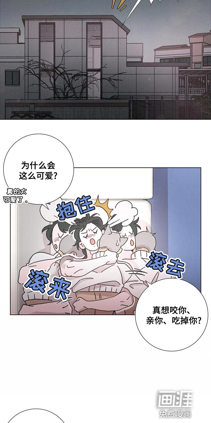 爱情深渊 第40话 第4页