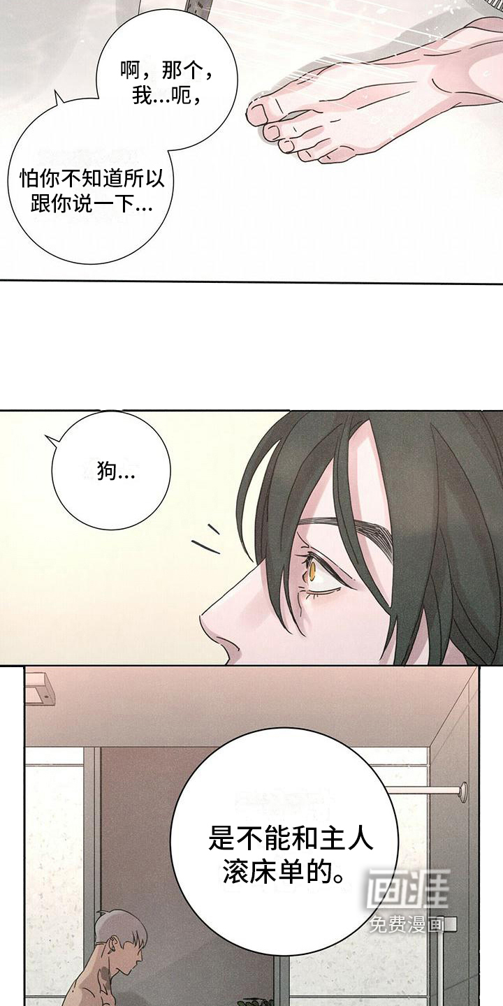 爱情深渊 第6话 第13页