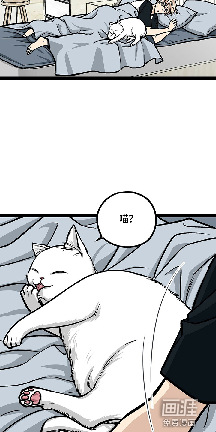 爱的不同表达 第23话 第3页