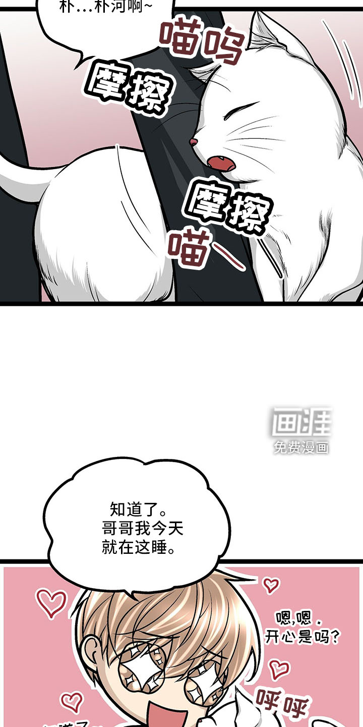 爱的不同表达 第37话 第17页