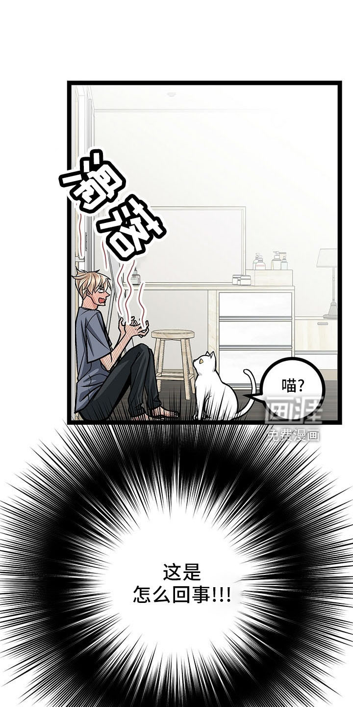 爱的不同表达 第39话 第12页