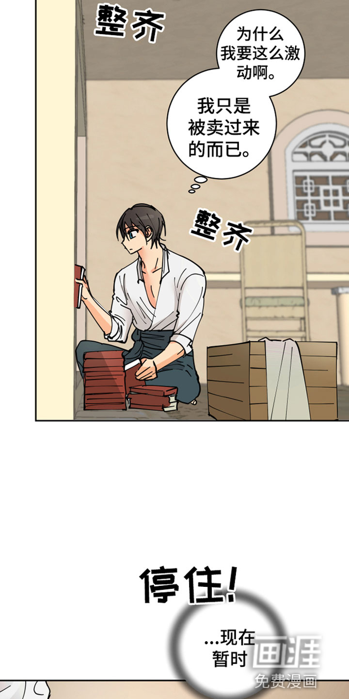 爱的继承人第13话图