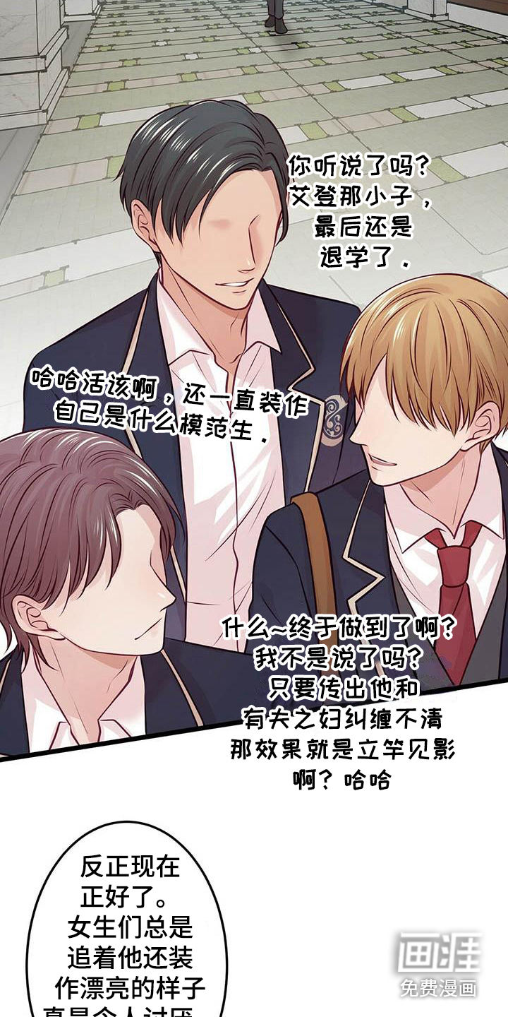 爱豆新星第21话图