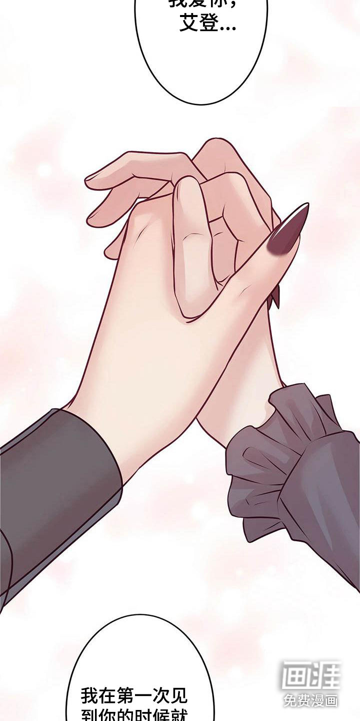 爱豆新星第23话图