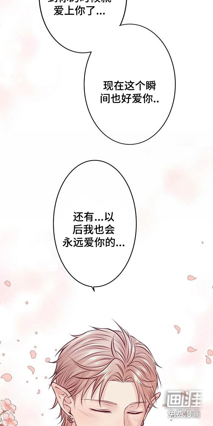 爱豆新星第23话图