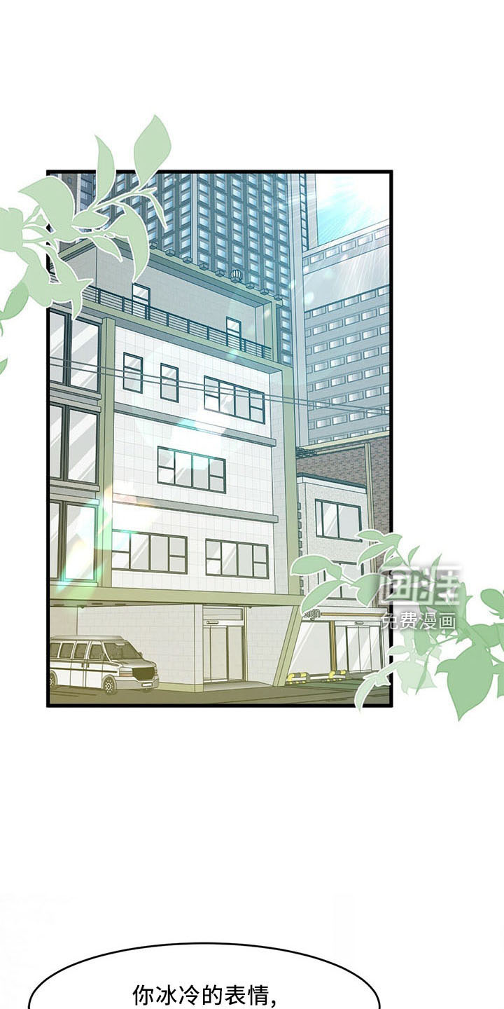 爱豆新星第47话图