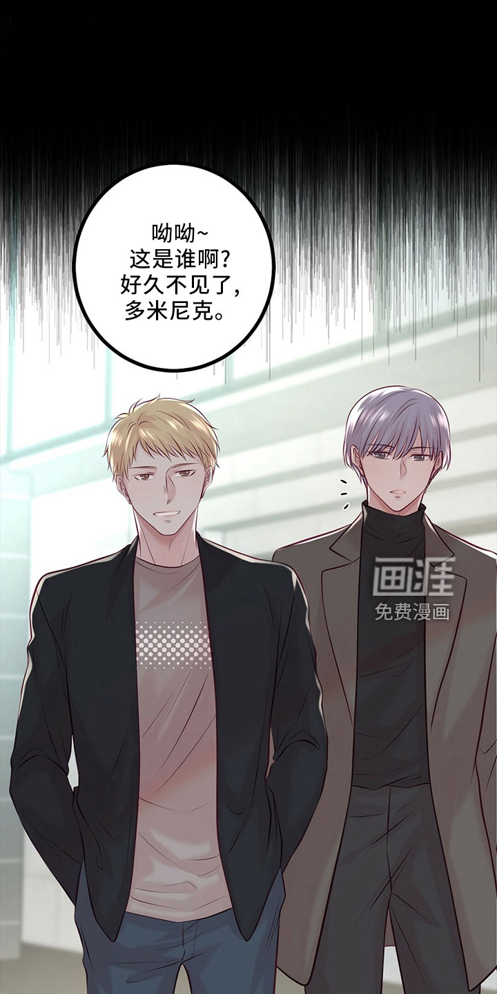 爱豆新星第48话图